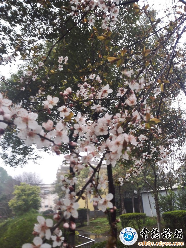 触屏版