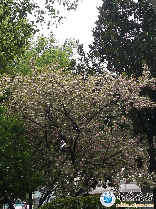 触屏版