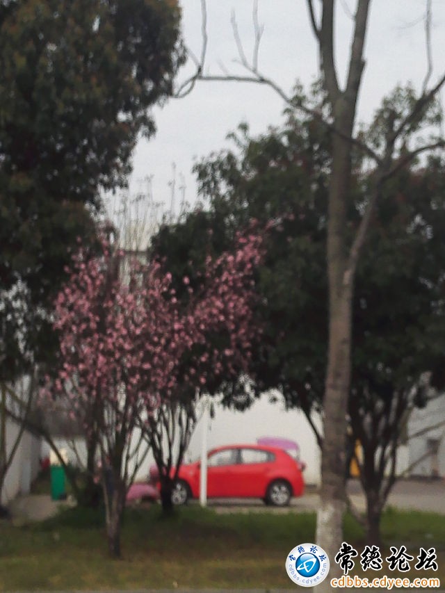 触屏版