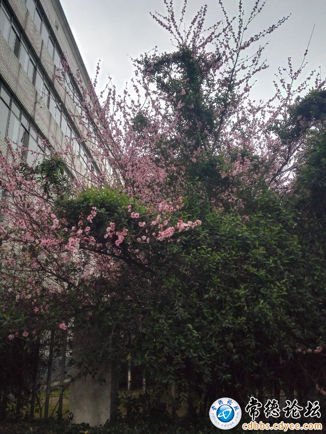 触屏版