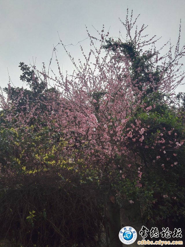 触屏版