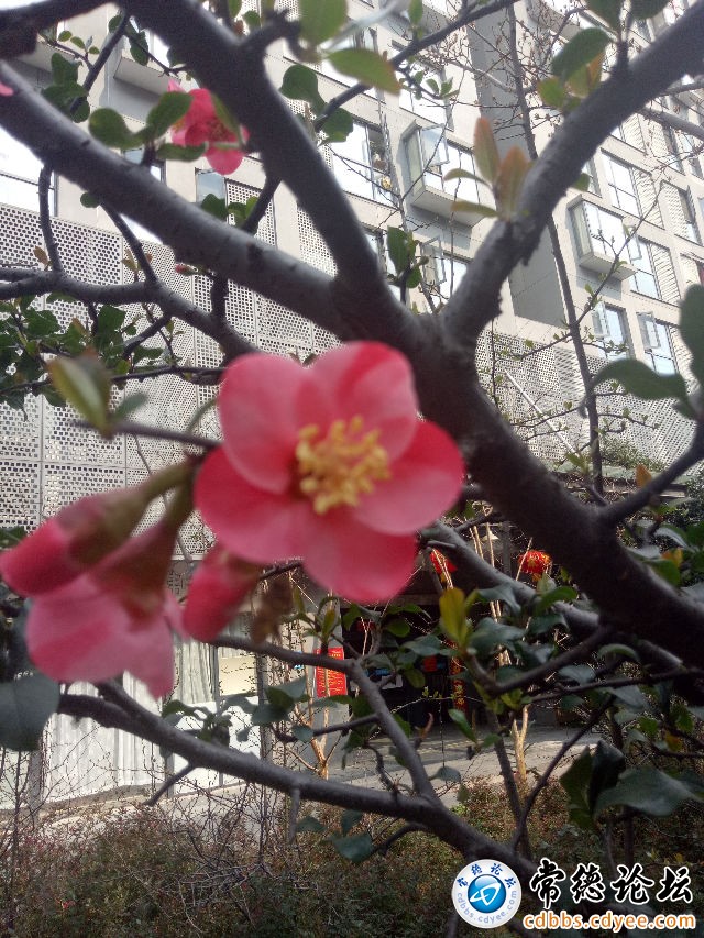 触屏版