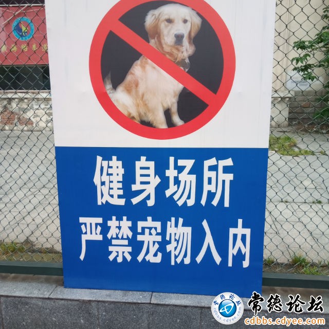 触屏版