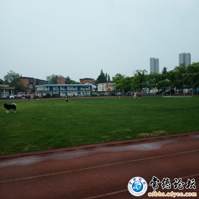 触屏版