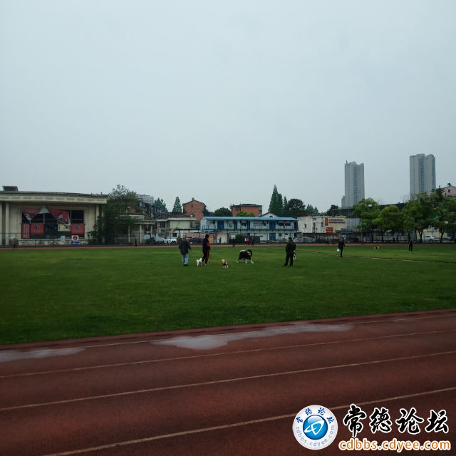 触屏版