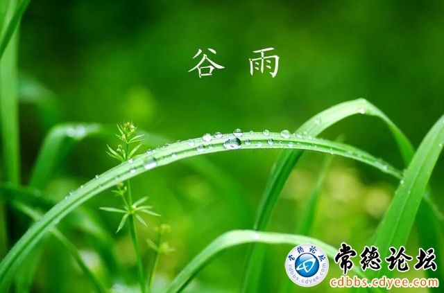 触屏版