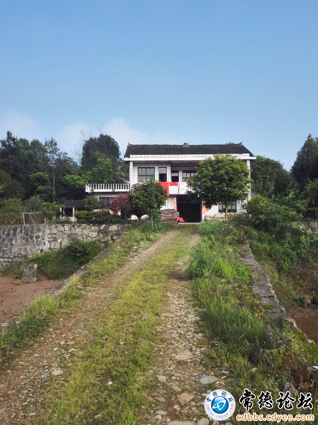 触屏版