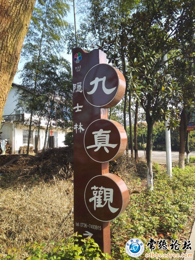 触屏版