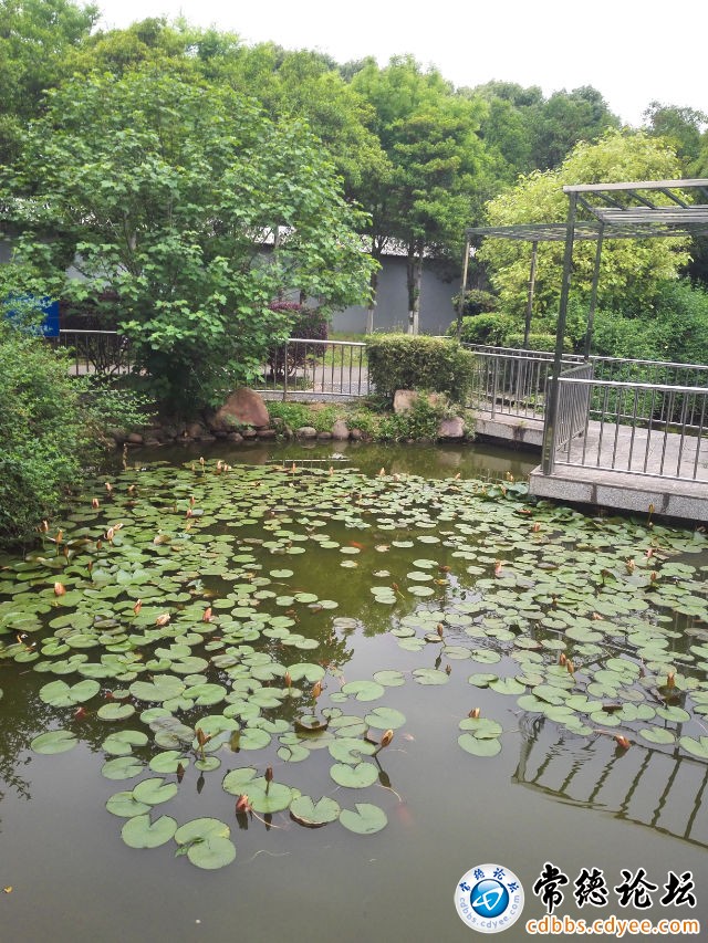 触屏版