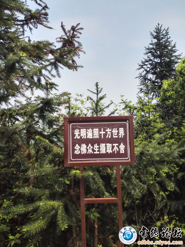 触屏版