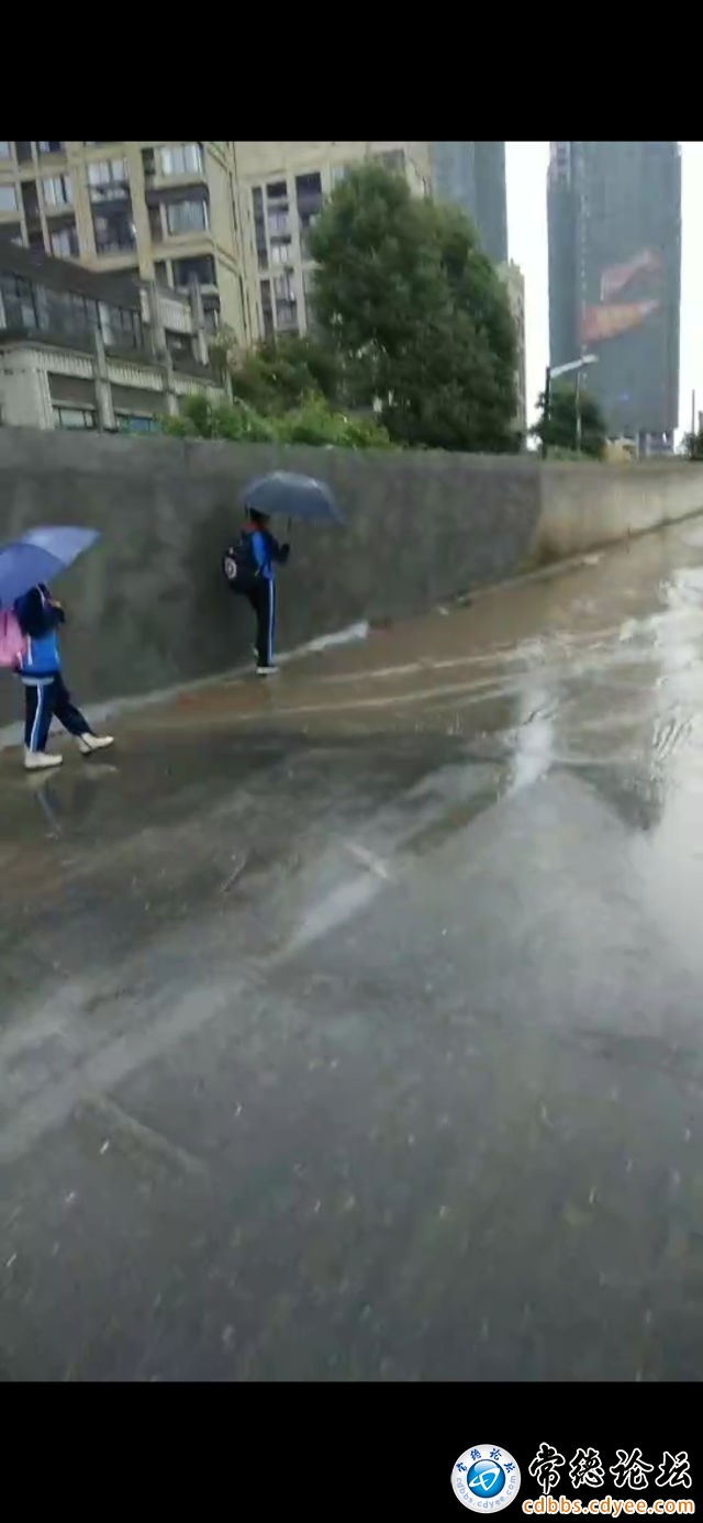 触屏版