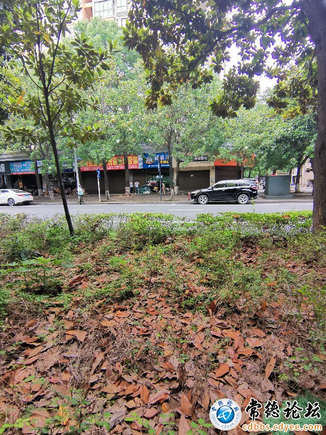 触屏版