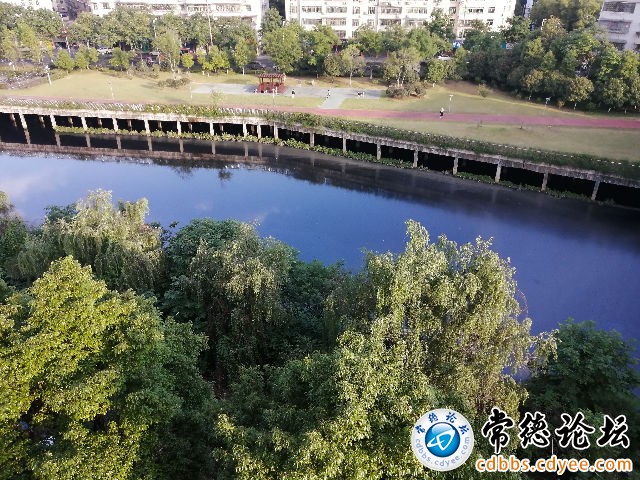 触屏版