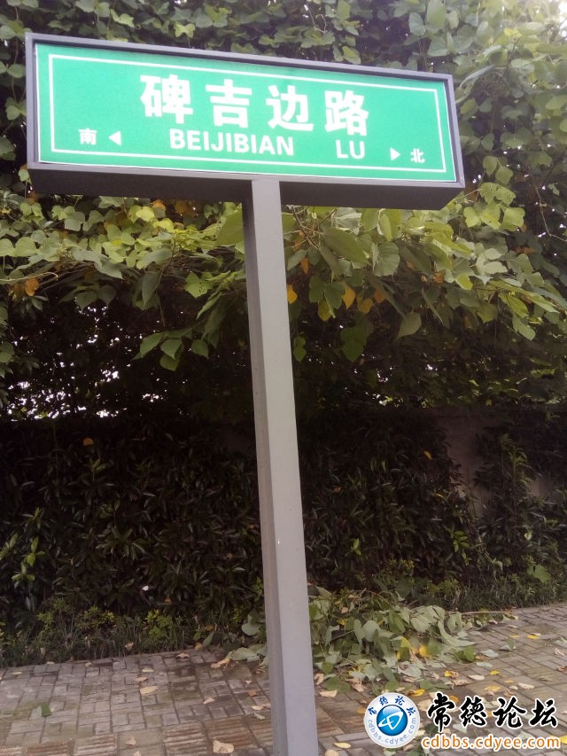 触屏版
