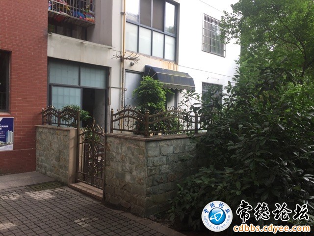触屏版