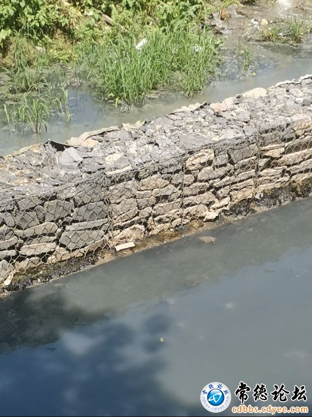 触屏版