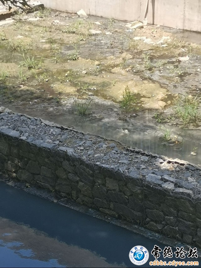 触屏版