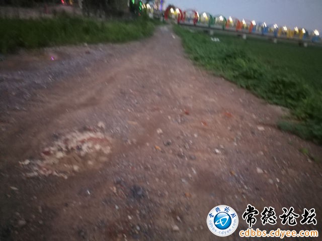 触屏版