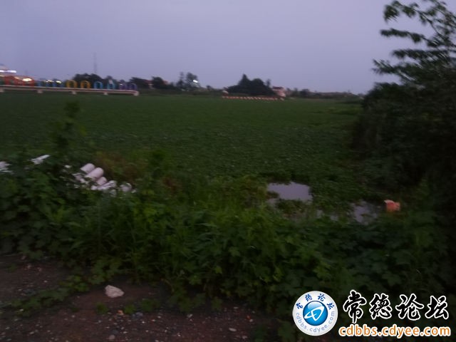 触屏版
