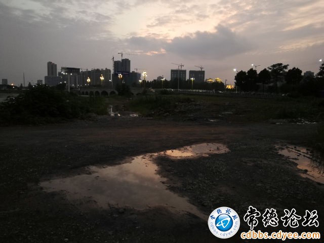 触屏版