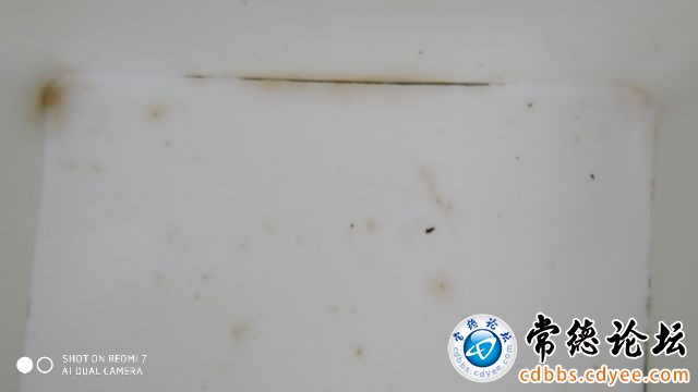 触屏版