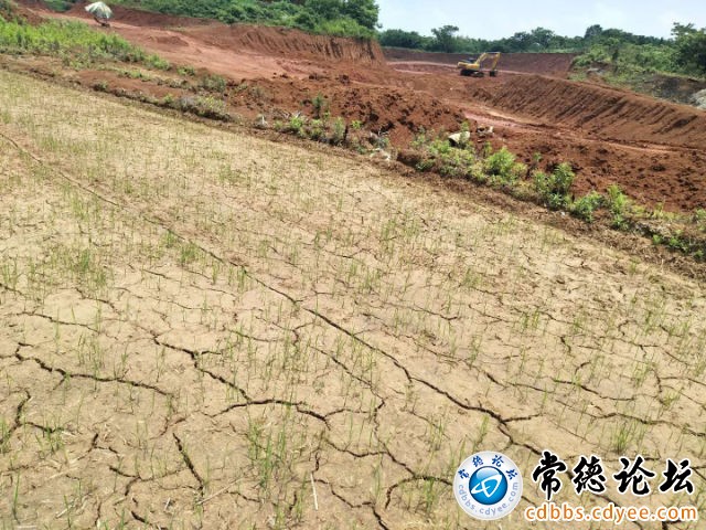 触屏版