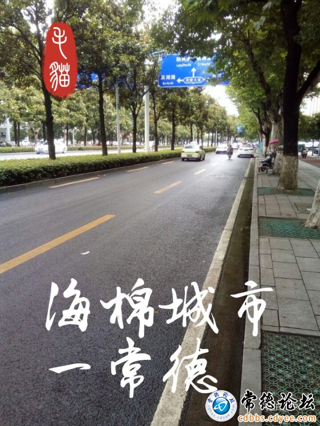 触屏版