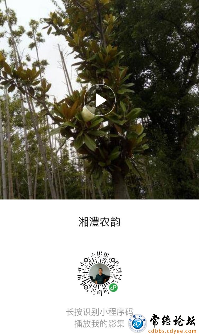 触屏版