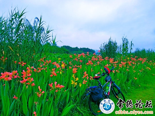 触屏版