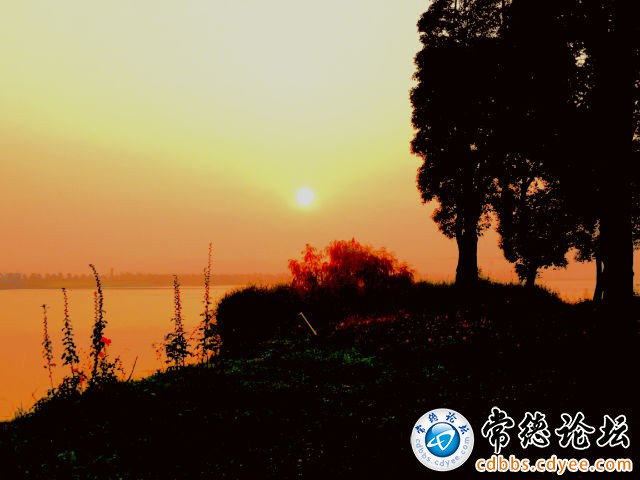 触屏版