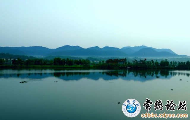 触屏版