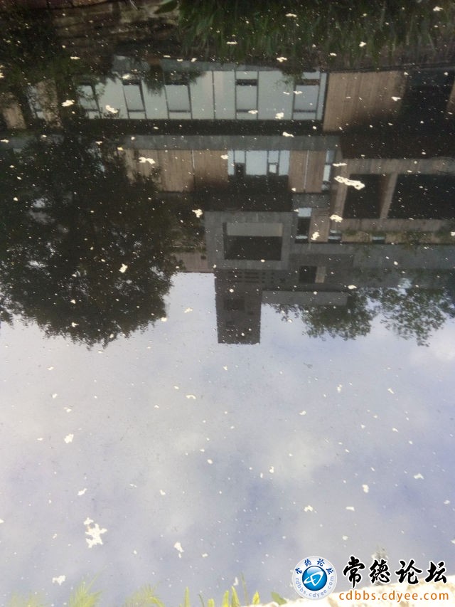 触屏版