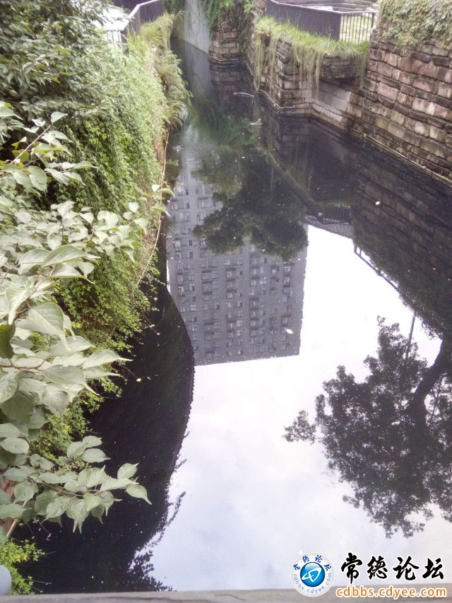 触屏版