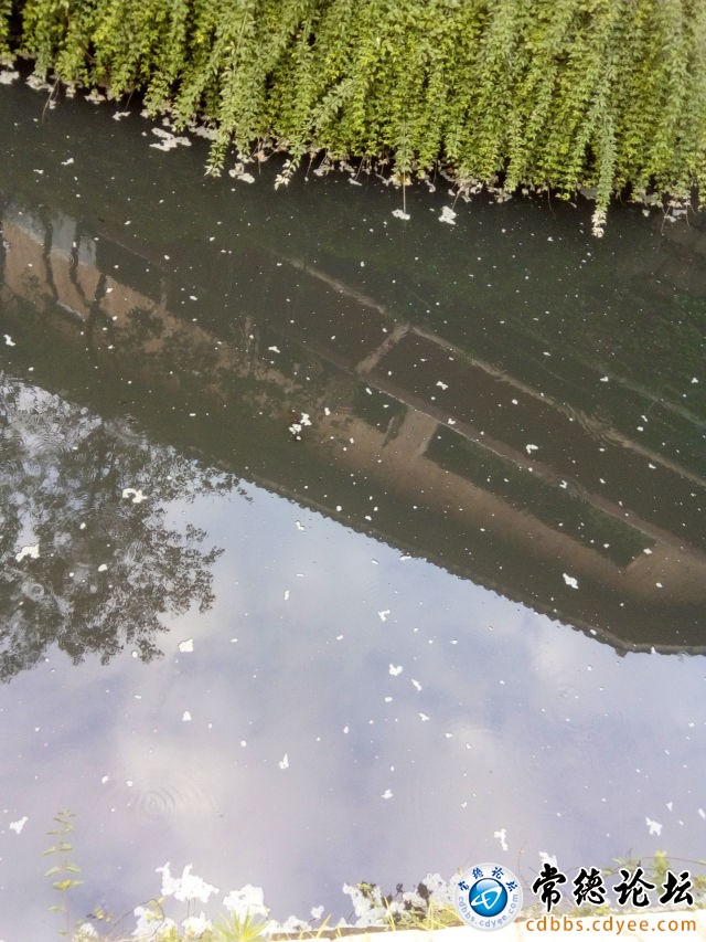 触屏版