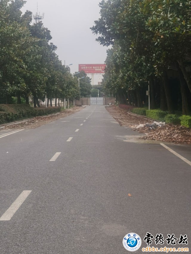 触屏版