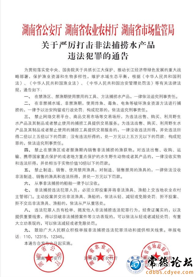 触屏版