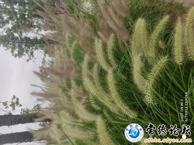触屏版