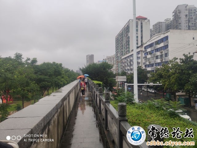 触屏版