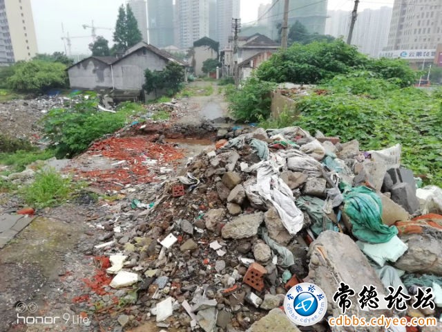 触屏版