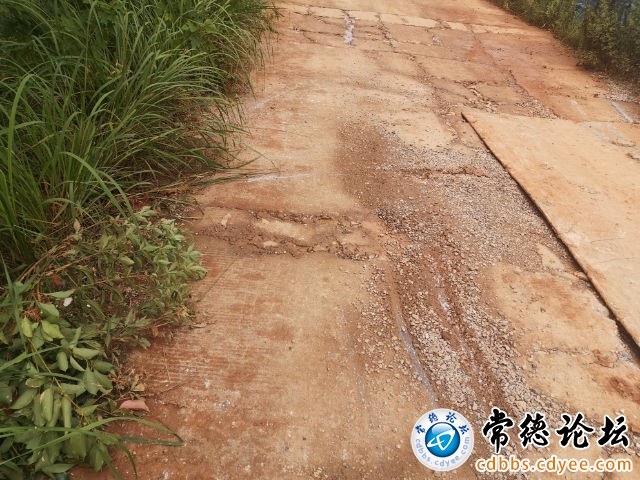 触屏版