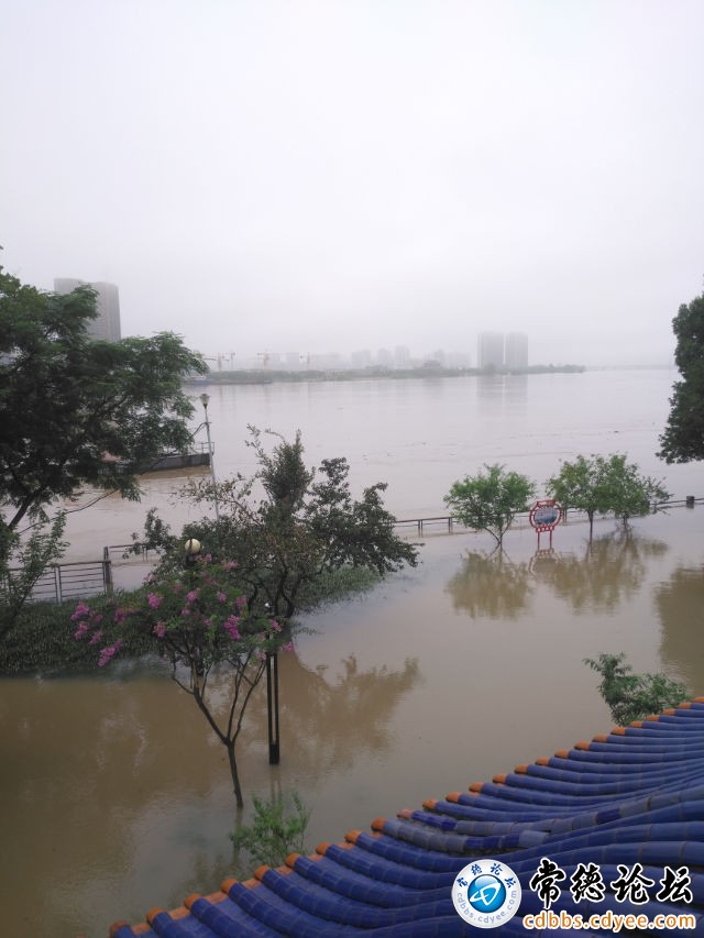触屏版