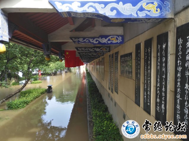 触屏版