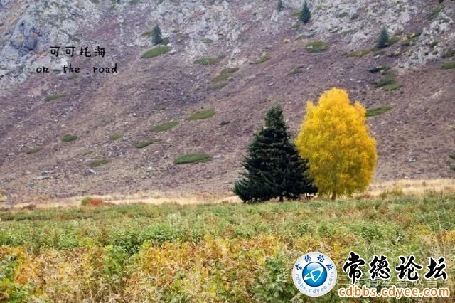 触屏版