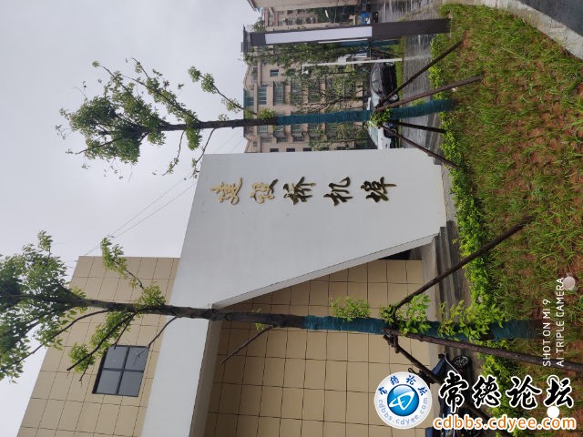 触屏版