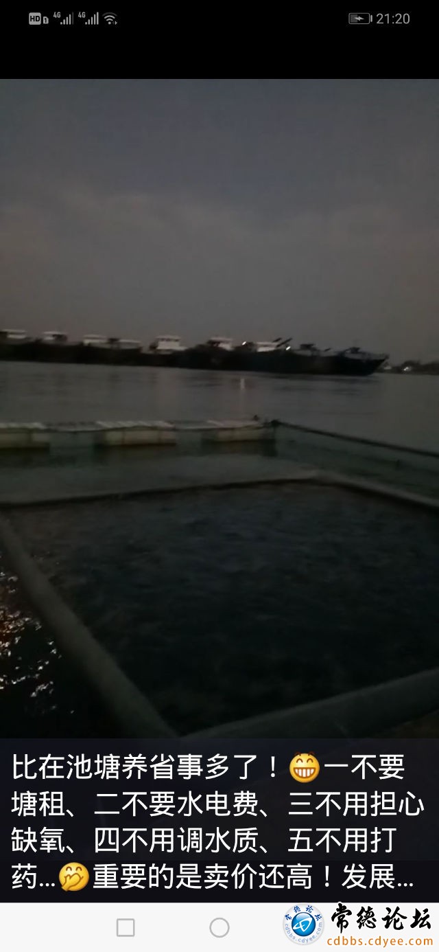 触屏版
