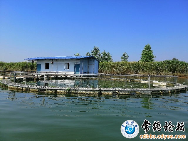 触屏版