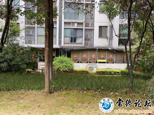 触屏版