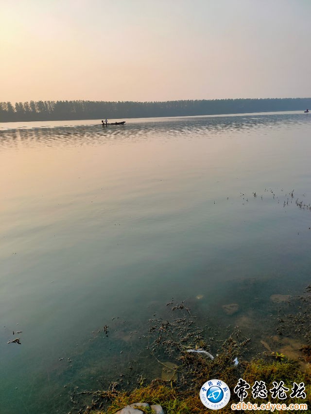 触屏版