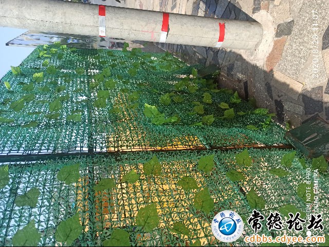 触屏版