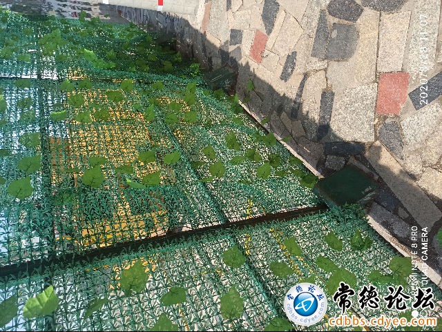 触屏版